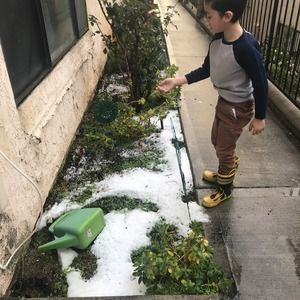 Meet your Posher, Anna